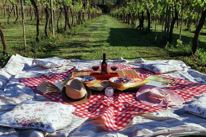 Lucca: self-guided bike tour + picnic in the vineyards - Discover Lucca’s Countryside by Bike and Picnic in Vineyards