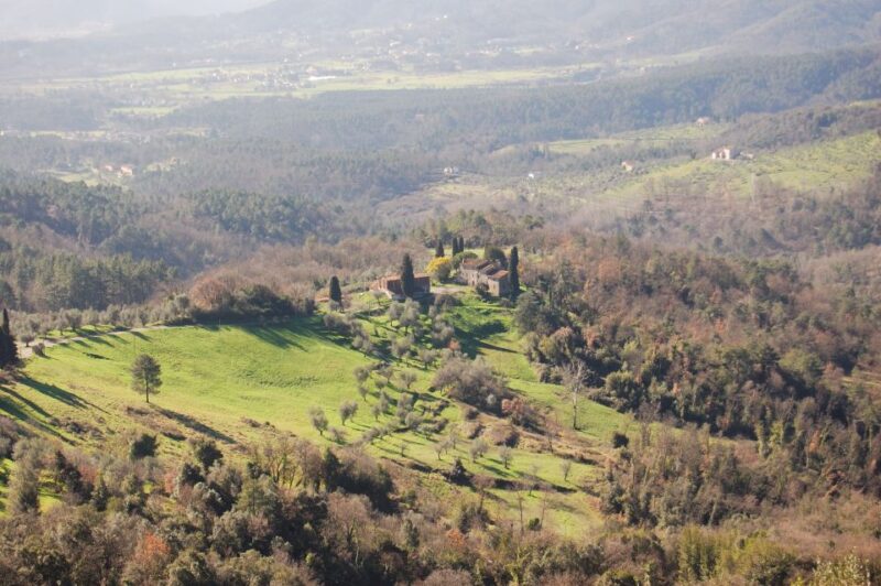 Lucca: Self-Guided Bike Tour to the Wine Roads - Key Points