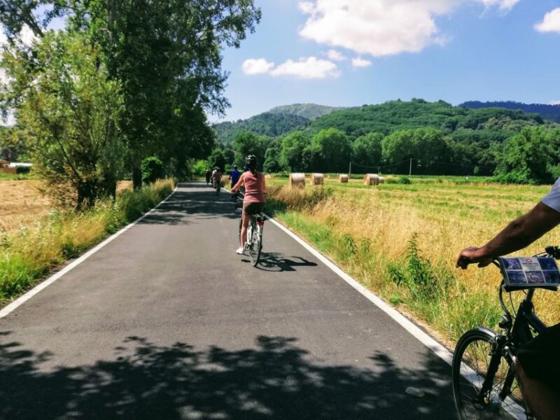 Lucca: Self-Guided Bike Tour to the Wine Roads - Reviews Highlighting the Rides Challenges and Beauty