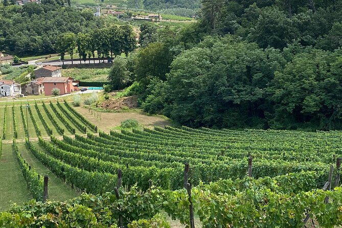 Lucca Tour and Pisa Tower + WineTasting by van from La SpeziaPort - Visiting Pisa and the Leaning Tower