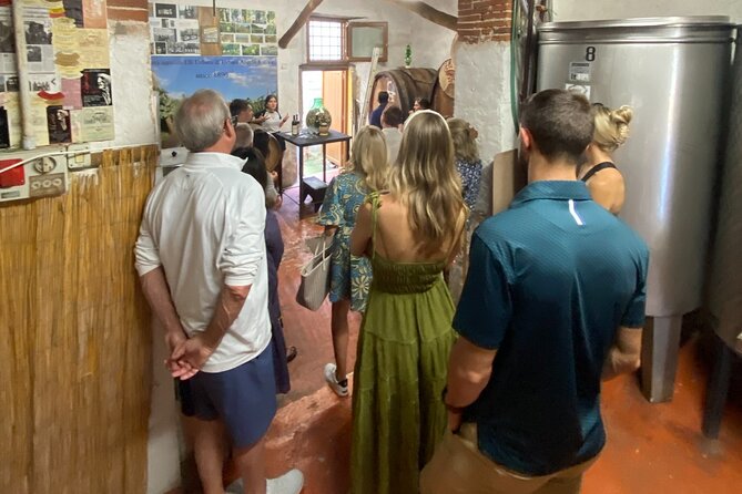 Lucca tour and Pisa Tower + WineTasting by van from Livorno Port - Guided Tour Highlights and Local Insights