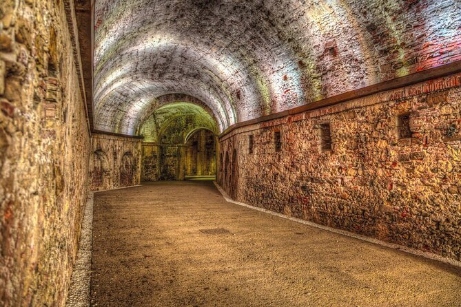 Lucca Walking Tour with Audio and Written Guide by a Local - Climbing Torre Guinigi for Panoramic Views