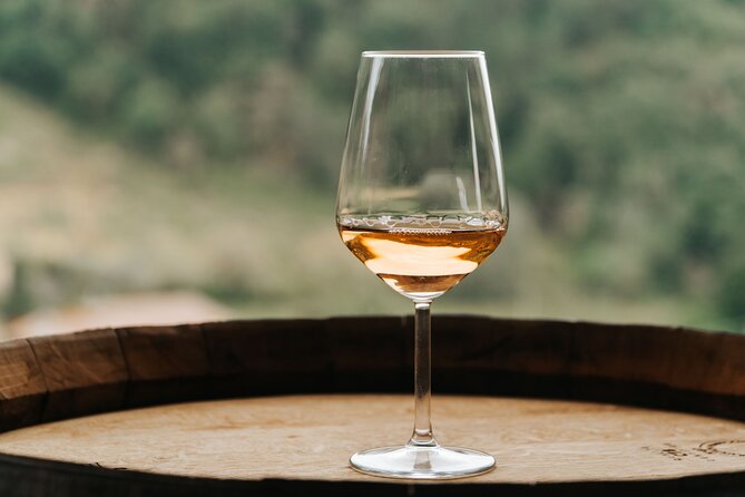 Lucca: Wine Tasting Experience - Tenuta Adamo Winery - Practical Details: Timing, Group Size, and Transportation