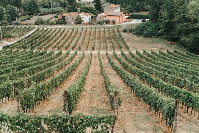 Lucca: Wine Tasting Experience - Tenuta Adamo Winery - Frequently Asked Questions