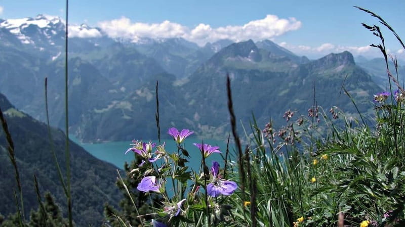 Lucerne: Guided Day Hike to Lucerne Ridge & Lake Views - Final Thoughts on the Guided Day Hike to Lucerne Ridge & Lake Views