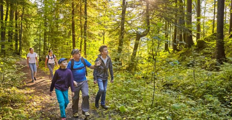 Lucerne: Guided hike on the Pilatus with barbecue experience - Practical Details: Transport and Group Size