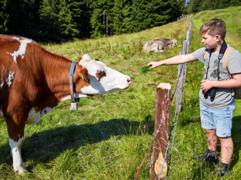 Lucerne: Guided hike on the Pilatus with barbecue experience - Who Will Enjoy This Tour Most