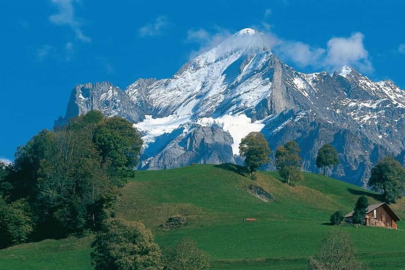 Lucerne: Interlaken and Grindelwald Swiss Alps Day Trip - Key Points