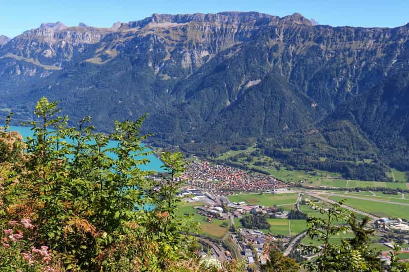 Lucerne: Interlaken & Grindelwald Exclusive Private Day Tour - Explore Switzerland’s Iconic Landscapes with a Private Tour from Lucerne