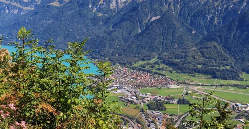 Lucerne: Interlaken & Grindelwald Exclusive Private Day Tour - Experience the Dramatic Peaks of Grindelwald
