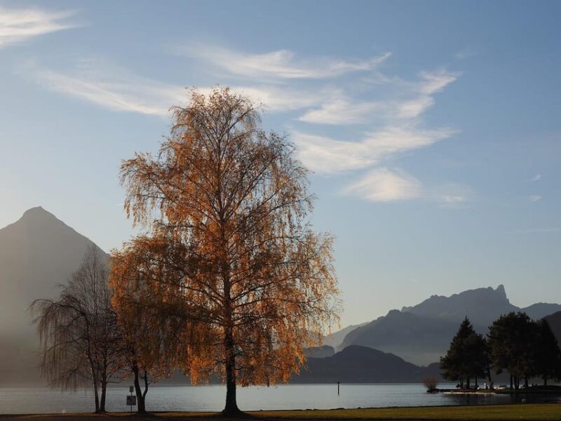 Lucerne: Interlaken & Grindelwald Exclusive Private Day Tour - Practical Details: Timing, Cost, and Booking