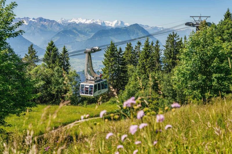 Lucerne: Mt Rigi Day Trip with Cruise, Cable Car, & Train - Key Points