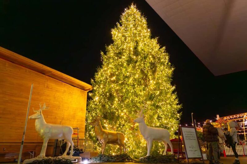 Lucerne Old Town Tour with Pro Photographer - Visiting the Rudolfs Weihnachtsmarkt and Seasonal Atmosphere