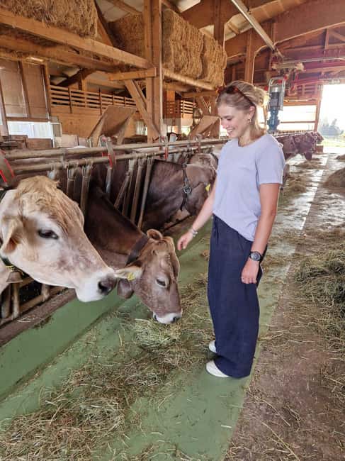 Lucerne: Small Group Countryside Tour with Cheese Tasting - Key Points