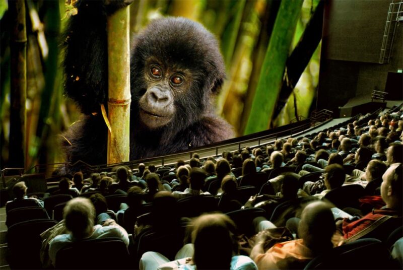 Lucerne: Swiss Museum of Transport Full Day Pass - The Sum Up: A Rich, Interactive Day at the Swiss Museum of Transport