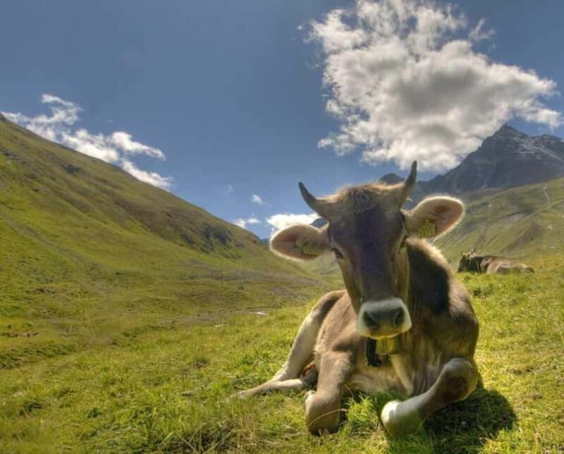 Lucerne to St. Moritz: Private Day Tour or Transfer - Exploring Chur, Switzerland’s Oldest City