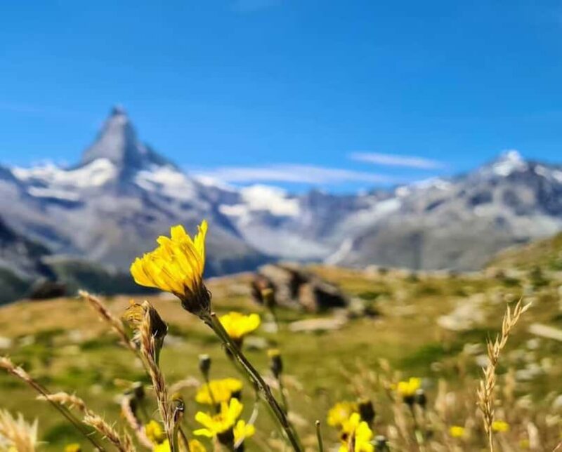 Lucerne to Zermatt: Private Day Trip or Transfer - Key Points