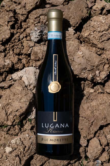 Lugana Special: tour and tasting to discover the area - Discover the Heart of Lugana DOC at Cantina Le Morette