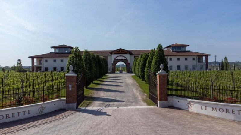 Lugana Special: tour and tasting to discover the area - The Focused Tasting of Four Lugana Wines in Veneto