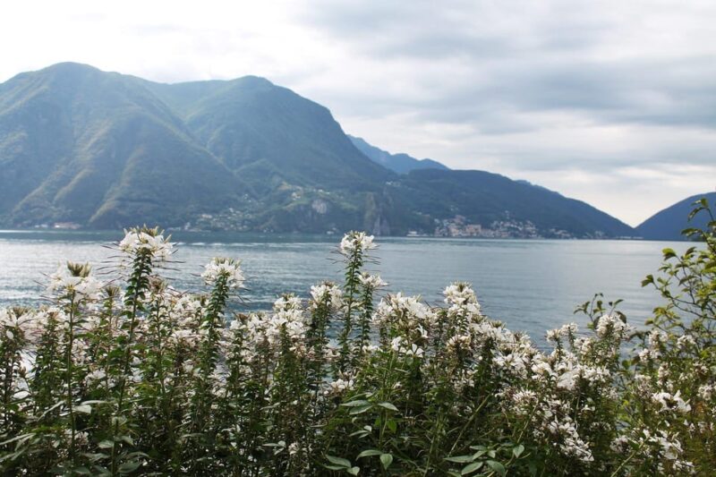 Lugano - Private Walking Tour - Visit the Picturesque Mocetti Fountain and Riverfront