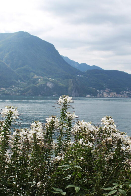 Lugano - Private Walking Tour - Frequently Asked Questions