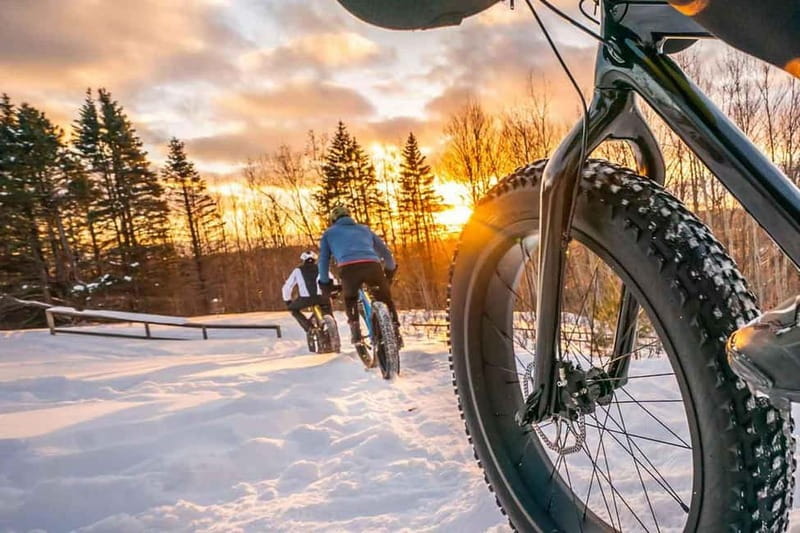 Luleå: Fatbike Rental, explore Luleå like a Local! - Who Will Enjoy This Experience the Most