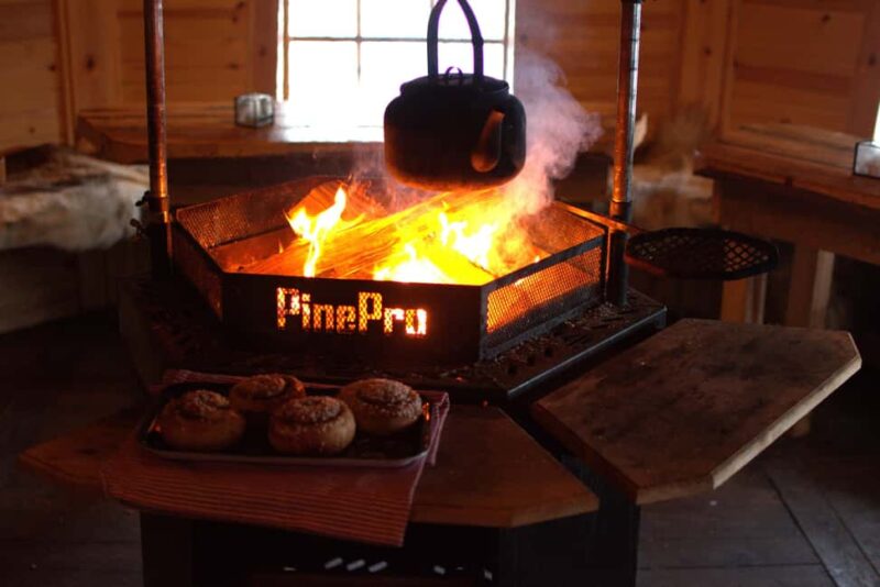 Luleå: Guided Dog Sledding Tour - Post-Tour Coffee and Play With the Dogs