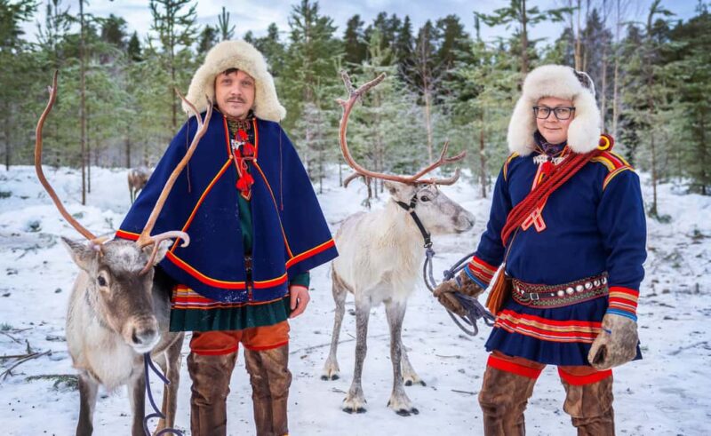 Luleå: Meet the Reindeer, Sámi Flavors & Stories by the Fire - Key Points