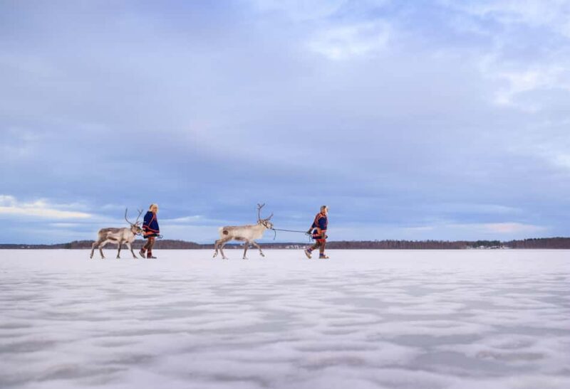 Luleå: Meet the Reindeer, Sámi Flavors & Stories by the Fire - Frequently Asked Questions