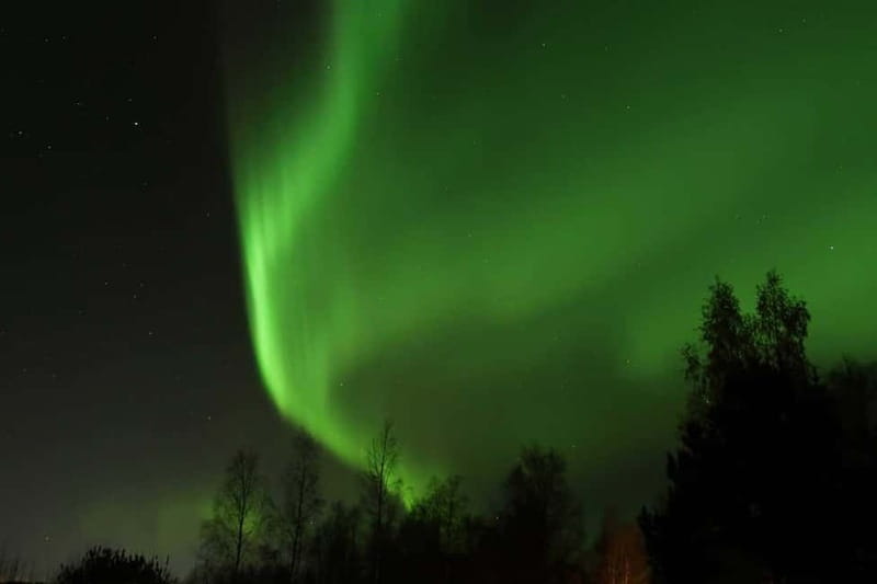 Luleå: Northern Lights Snowshoeing Tour - Experience the Northern Lights on a Guided Snowshoe Walk in Norrbotten