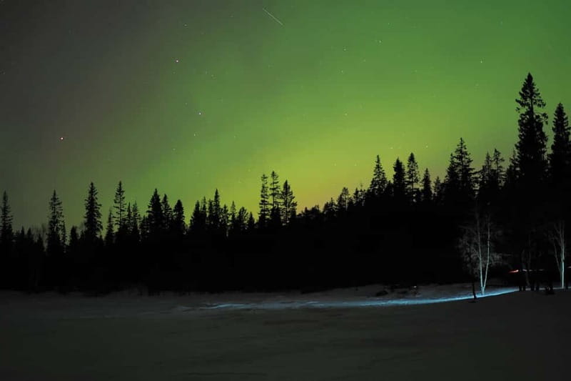 Luleå: Northern Lights Snowshoeing Tour - The Unique Appeal of This Snowshoeing Northern Lights Tour