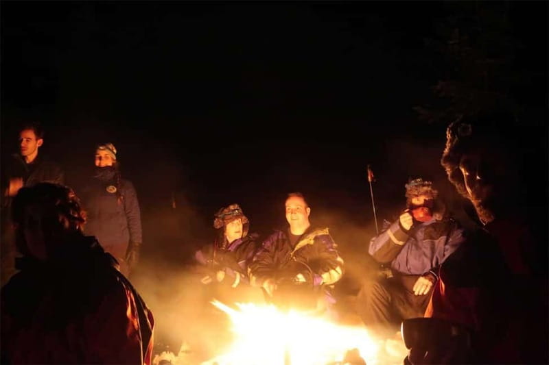 Luleå: Northern Lights Snowshoeing Tour - Who Will Love This Tour