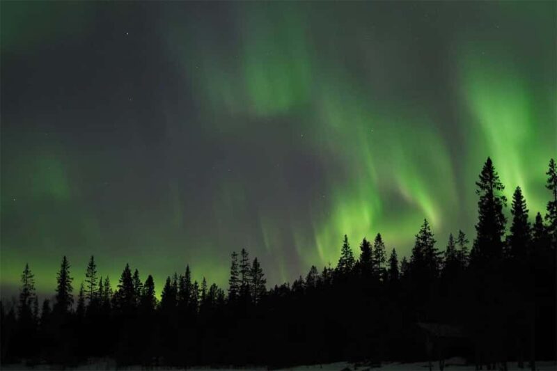 Luleå: Northern Lights Tour by Car with Swedish Treats - How the Tour Finds the Best Viewing Spots in Swedish Lapland