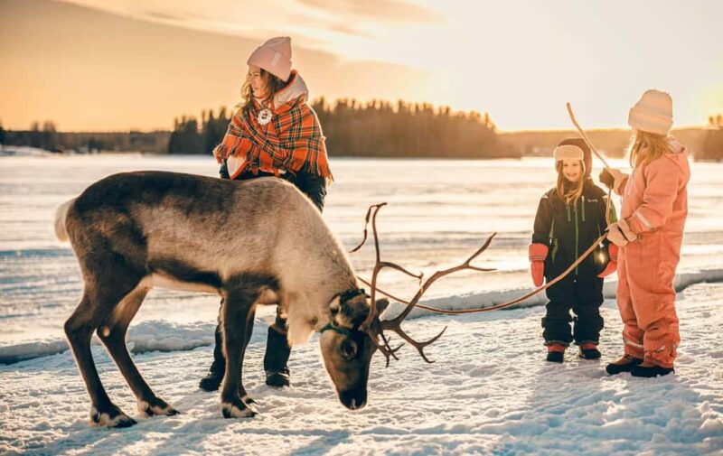 Luleå: Sami Culture & Reindeer Winter Experience - Learning about Sami Culture and Reindeer Herding