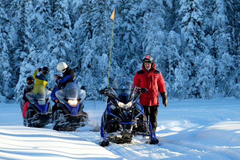 Luleå : Snowmobile - Forest and Ice Nature Tour 2h - Nearby Activities at Brändön Lodge