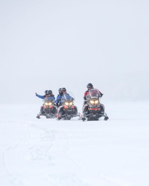 Luleå : Snowmobile - Forest and Ice Nature Tour 2h - Additional Considerations and Booking Flexibility