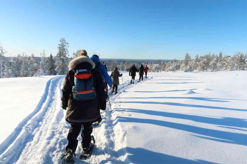 Luleå: snowshoeing in pristine nature with an expert guide! - Discovering the Pristine Nature of Luleå’s Reserves