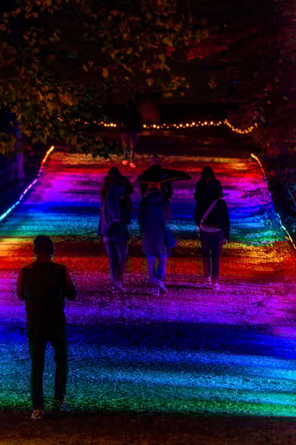 Lumières en Seine: freedom ticket - Discover the Heart of the Light Festival at Saint-Cloud