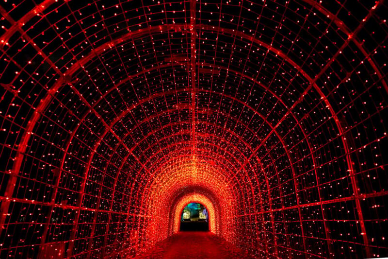 Lumières en Seine: freedom ticket - A Nordic-Inspired Icy Scene and Interactive Art