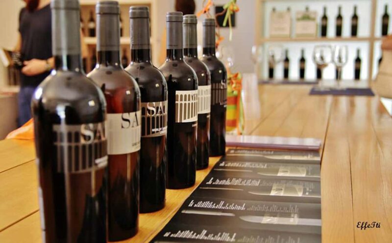 Lunch and tasting 5 wines + walk in the panoramic vineyards - Key Points