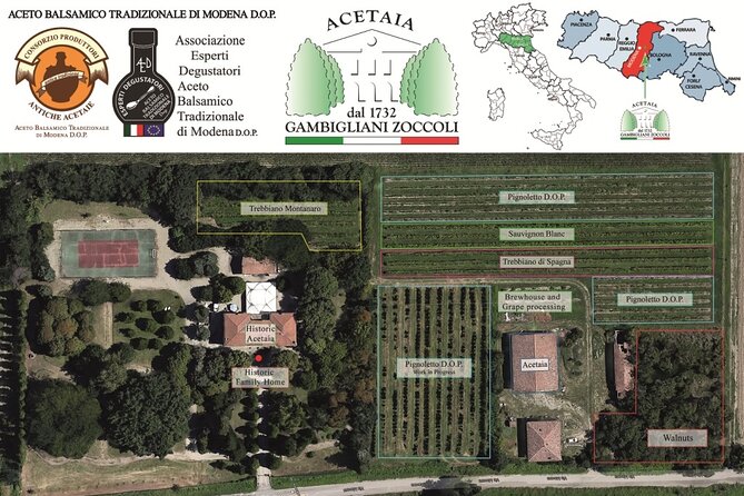 Lunch and Tasting of Traditional Balsamic Vinegar of Modena - Accessibility and Practical Tips