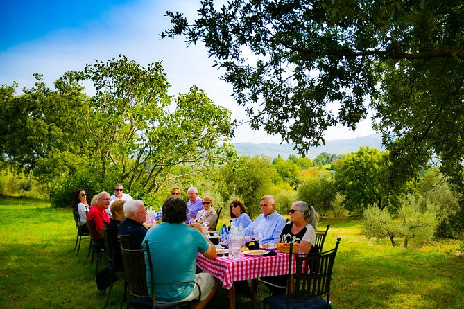 Lunch in the Olive Grove - Authentic Tuscan Lunch in an Olive Grove with Spectacular Views