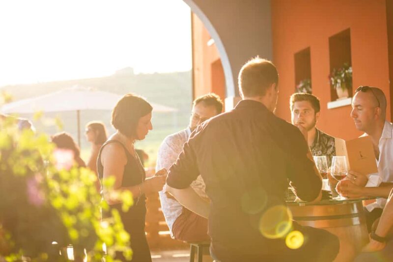 LUNCH IN VERONA: LIGHT LUNCH AMONG THE VINEYARDS AND IN THE WINERY - The Setting and Atmosphere of the Vineyard