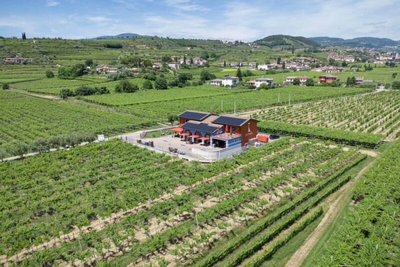 LUNCH IN VERONA: LIGHT LUNCH AMONG THE VINEYARDS AND IN THE WINERY - Final Highlights of the Light Lunch and Wine Tasting