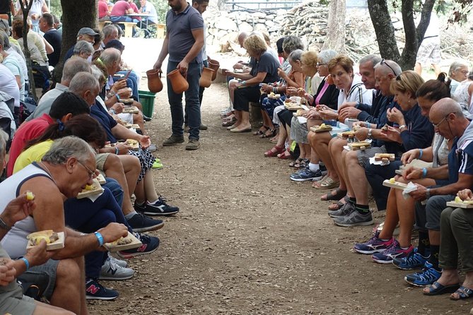 Lunch With The Shepherds Of Orgosolo From Costa Smeralda - Exploring the Murals of Orgosolo and Their History