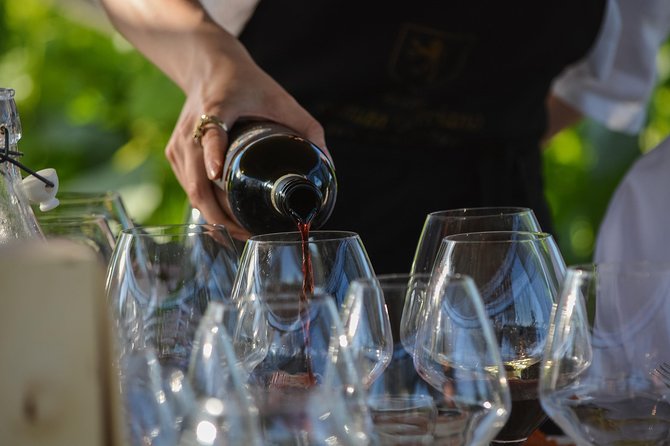 Lunch with Wine Tasting - Views and Atmosphere in the Tuscan Countryside