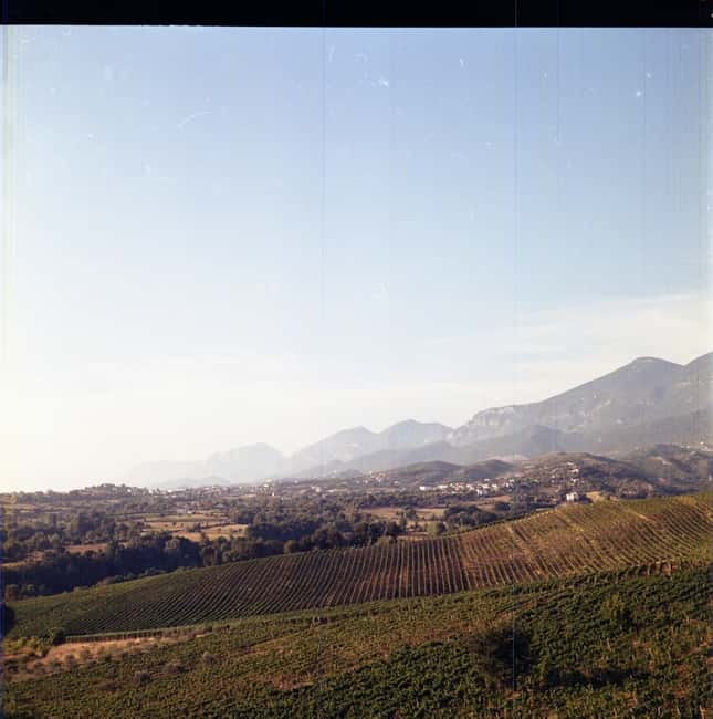 Lundër: Lundra Winery Guided Tour with Wine Tasting - Discover the Charm of Lundra Winery in Tirana District