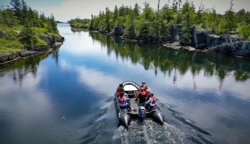 Lunenburg: Zodiac Wildlife Tour with Naturalist Guide - Experience the Power of a Military-Grade Zodiac