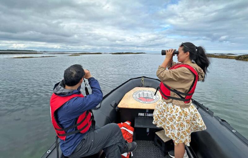 Lunenburg: Zodiac Wildlife Tour with Naturalist Guide - Wildlife You Can Expect to See on the Coastline