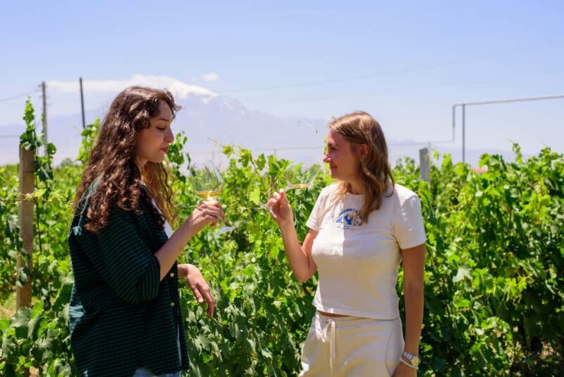 Lusarat: Givany Winery Tour & Tasting Experience - Accessibility and Languages